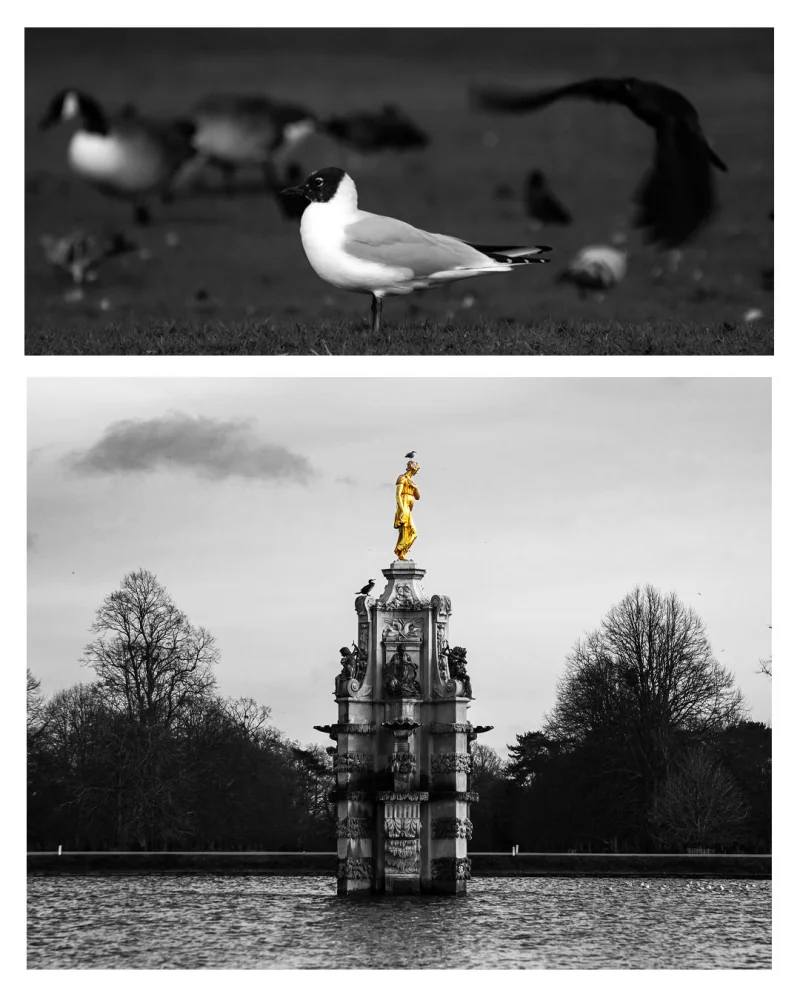 NATURE EDITIONARTBOARD 1 3
